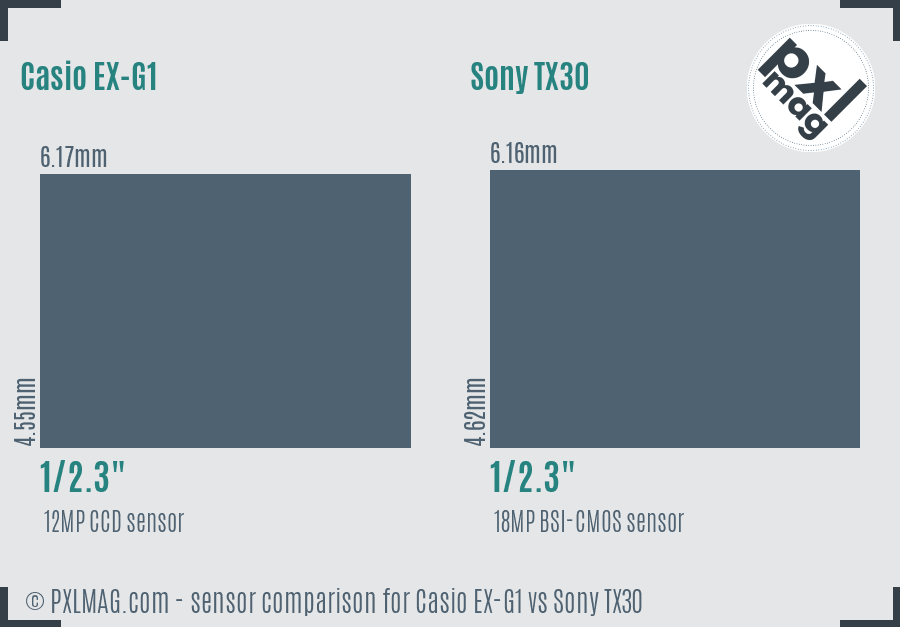 Casio EX-G1 vs Sony TX30 sensor size comparison