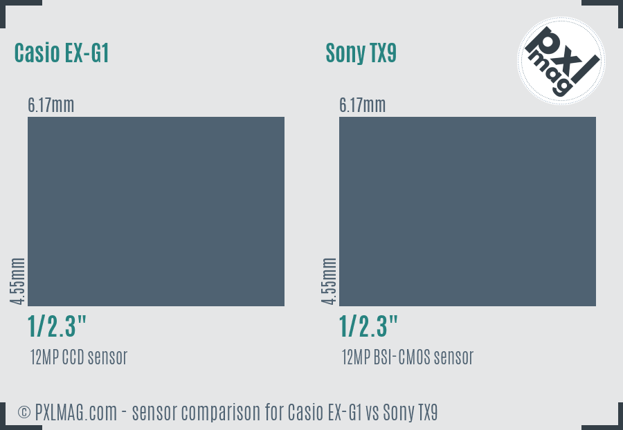Casio EX-G1 vs Sony TX9 sensor size comparison