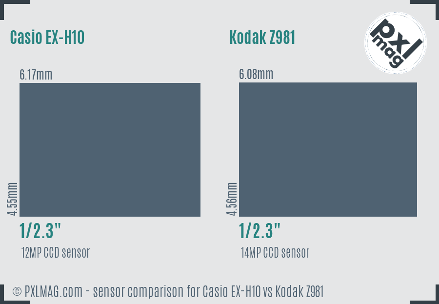 Casio EX-H10 vs Kodak Z981 sensor size comparison