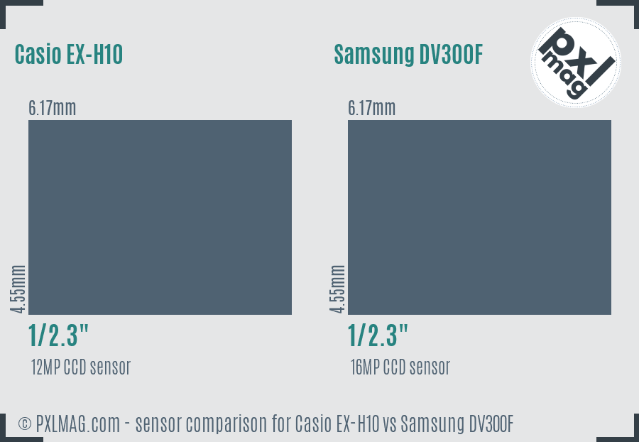 Casio EX-H10 vs Samsung DV300F sensor size comparison