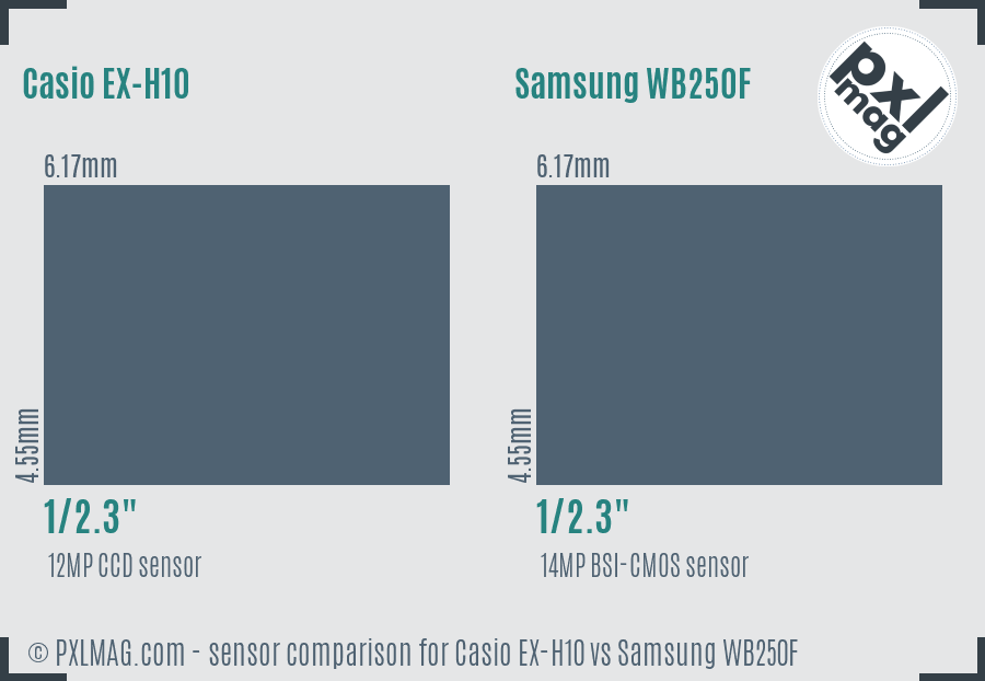 Casio EX-H10 vs Samsung WB250F sensor size comparison