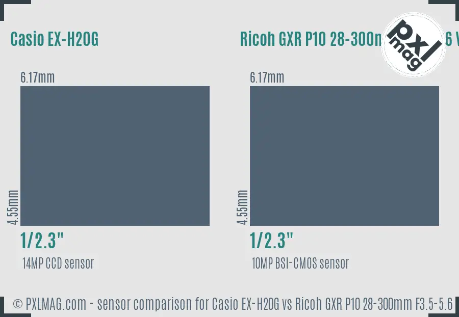 Casio EX-H20G vs Ricoh GXR P10 28-300mm F3.5-5.6 VC sensor size comparison