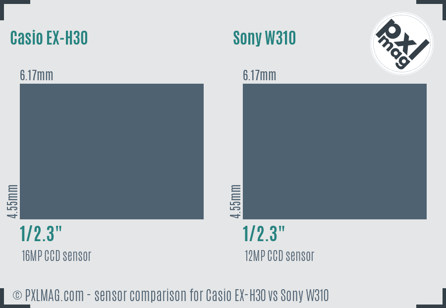 Casio EX-H30 vs Sony W310 sensor size comparison