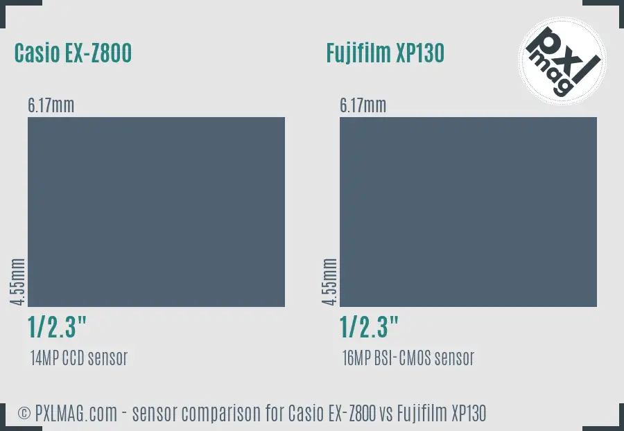 Casio EX-Z800 vs Fujifilm XP130 sensor size comparison