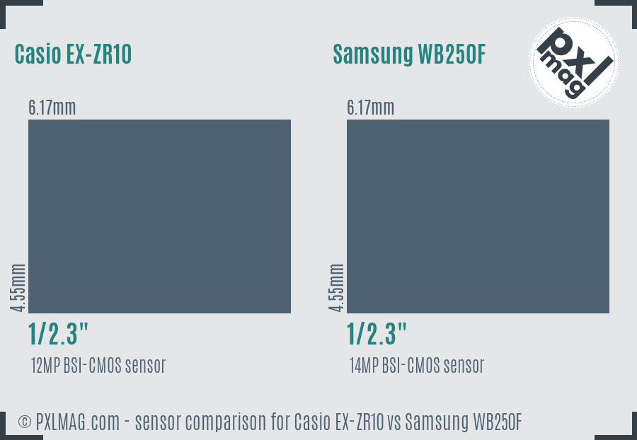Casio EX-ZR10 vs Samsung WB250F sensor size comparison