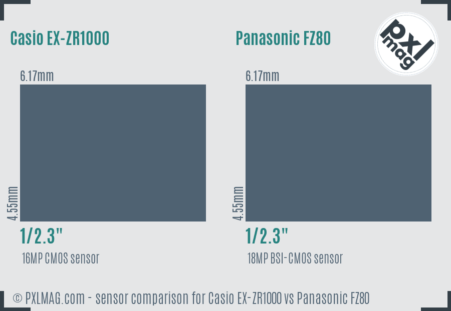 Casio EX-ZR1000 vs Panasonic FZ80 sensor size comparison