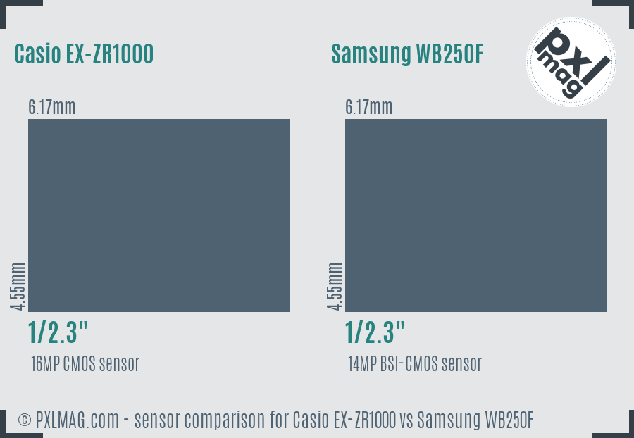 Casio EX-ZR1000 vs Samsung WB250F sensor size comparison