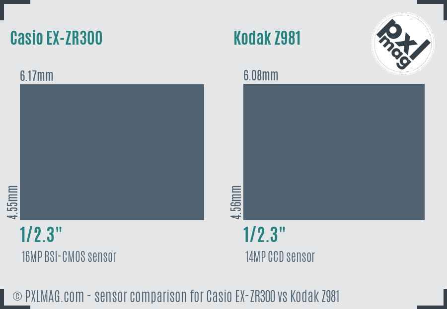 Casio EX-ZR300 vs Kodak Z981 sensor size comparison