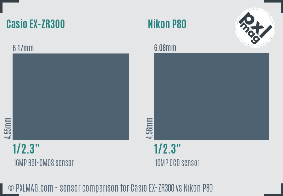 Casio EX-ZR300 vs Nikon P80 sensor size comparison