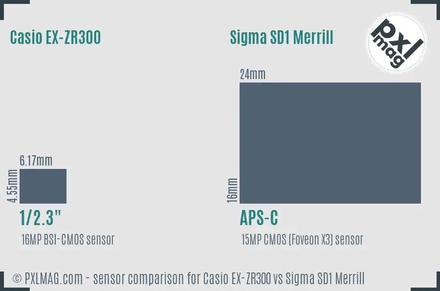 Casio EX-ZR300 vs Sigma SD1 Merrill sensor size comparison