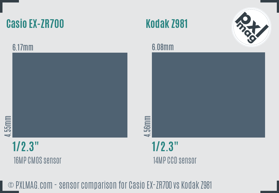Casio EX-ZR700 vs Kodak Z981 sensor size comparison Casio EX-ZR700 vs Kodak Z981 sensor size comparison