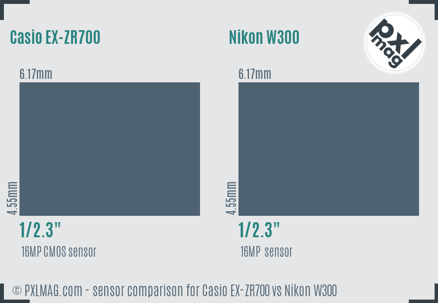 Casio EX-ZR700 vs Nikon W300 sensor size comparison