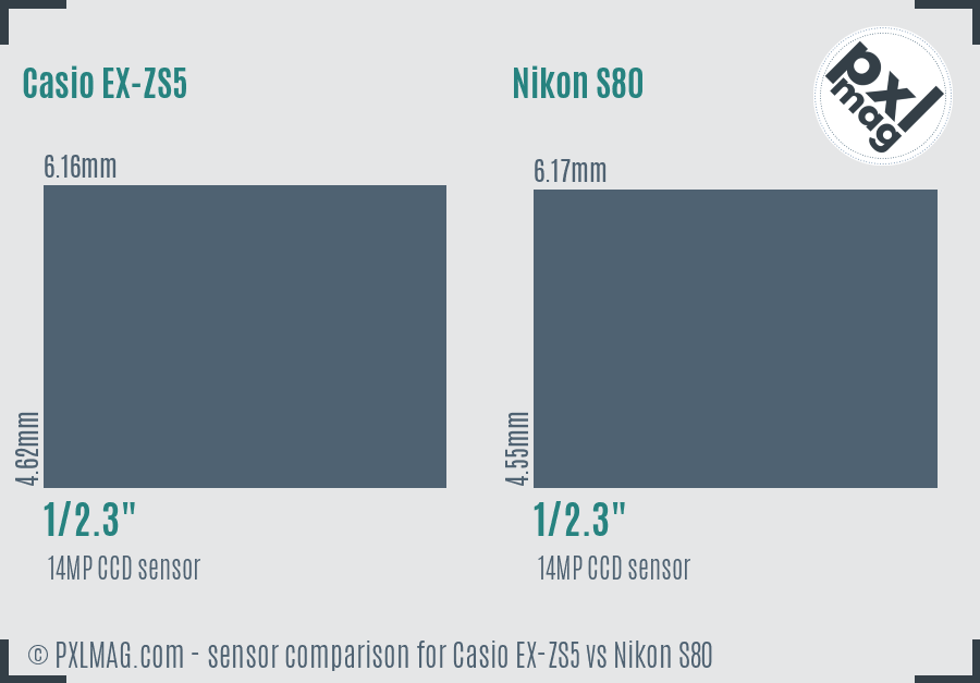 Casio EX-ZS5 vs Nikon S80 sensor size comparison