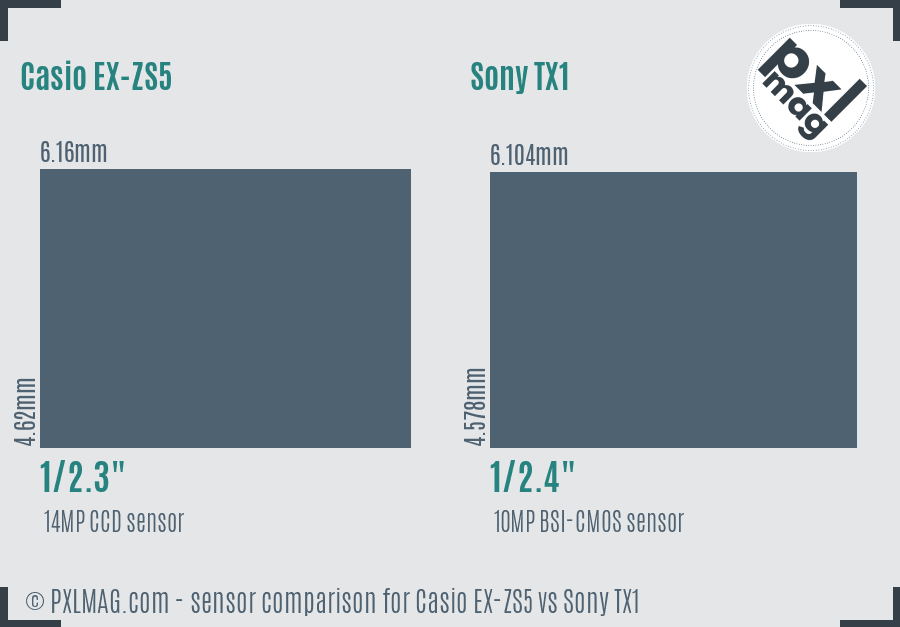 Casio EX-ZS5 vs Sony TX1 sensor size comparison Casio EX-ZS5 vs Sony TX1 sensor size comparison
