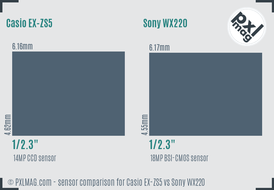 Casio EX-ZS5 vs Sony WX220 sensor size comparison