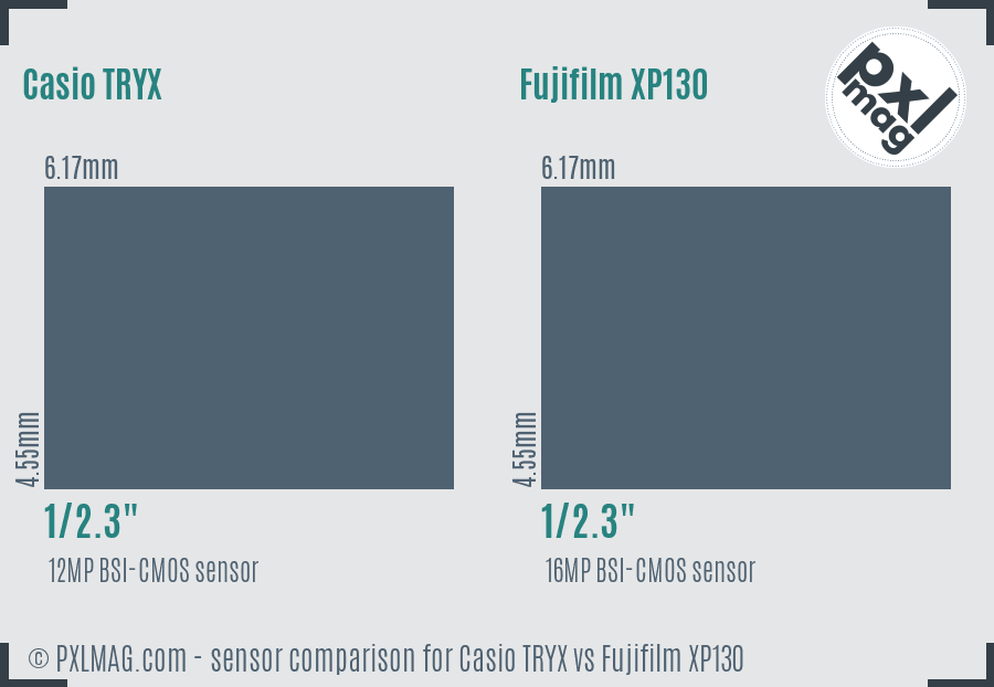 Casio TRYX vs Fujifilm XP130 sensor size comparison