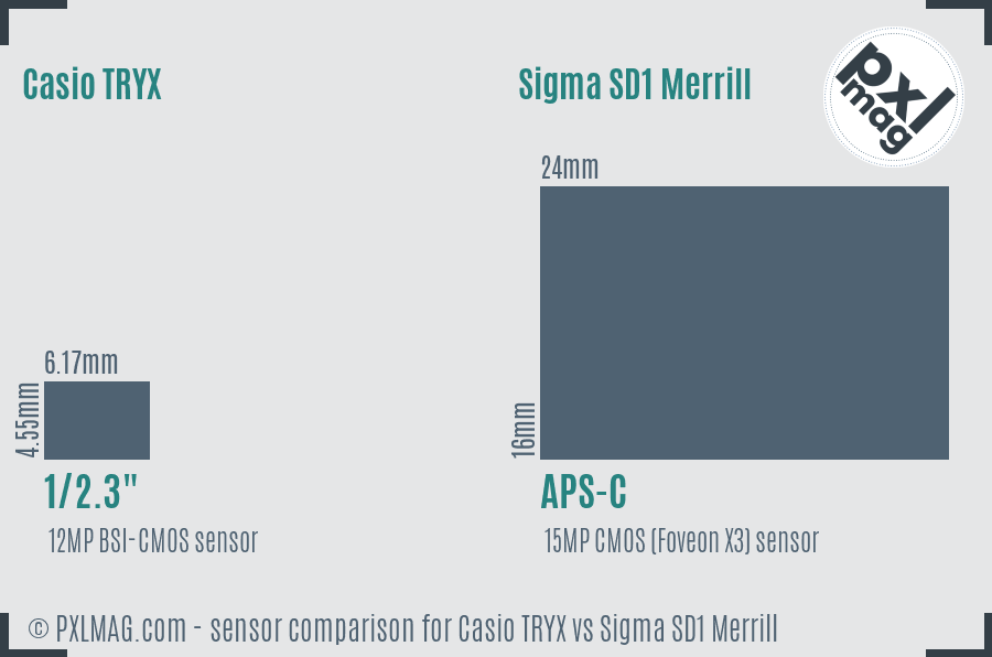 Casio TRYX vs Sigma SD1 Merrill sensor size comparison
