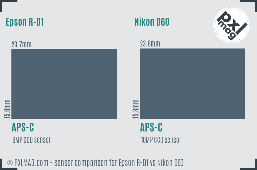 Epson R-D1 vs Nikon D60 sensor size comparison