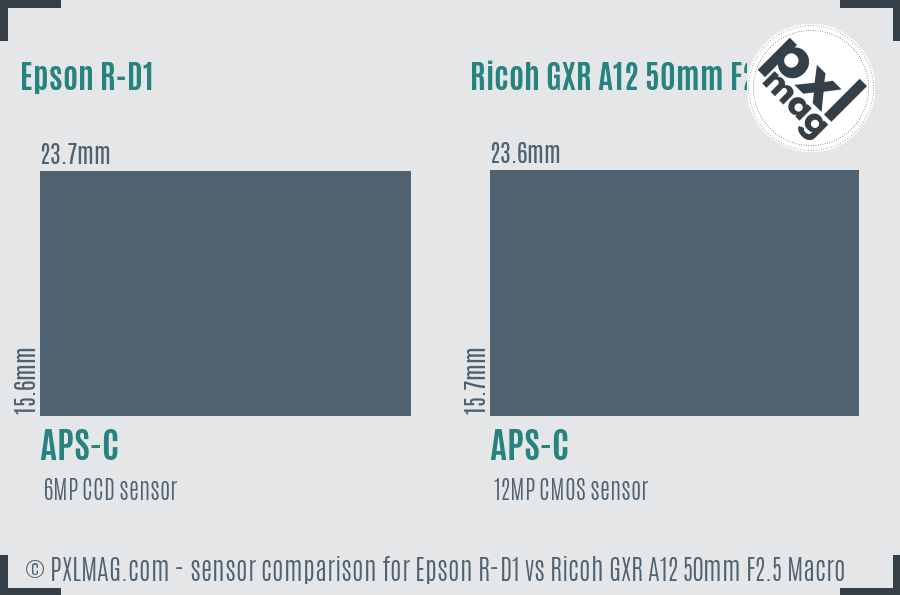 Epson R-D1 vs Ricoh GXR A12 50mm F2.5 Macro sensor size comparison