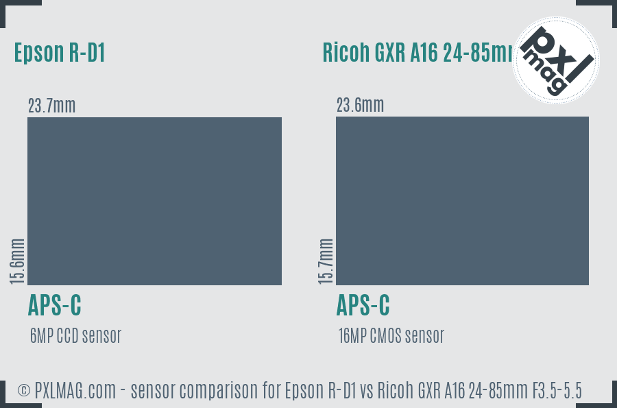 Epson R-D1 vs Ricoh GXR A16 24-85mm F3.5-5.5 sensor size comparison