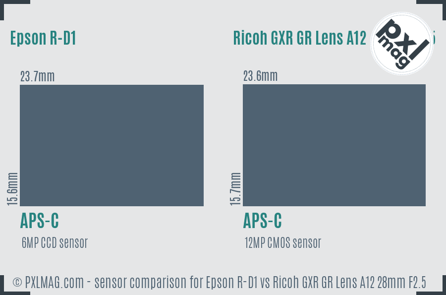 Epson R-D1 vs Ricoh GXR GR Lens A12 28mm F2.5 sensor size comparison