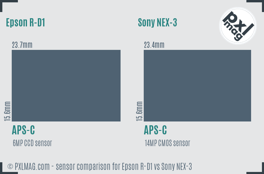 Epson R-D1 vs Sony NEX-3 sensor size comparison