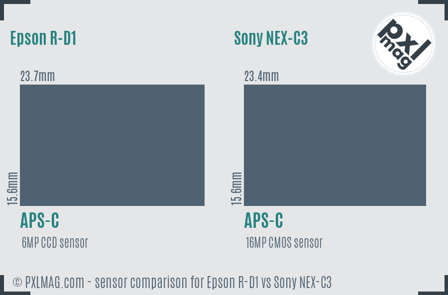 Epson R-D1 vs Sony NEX-C3 sensor size comparison