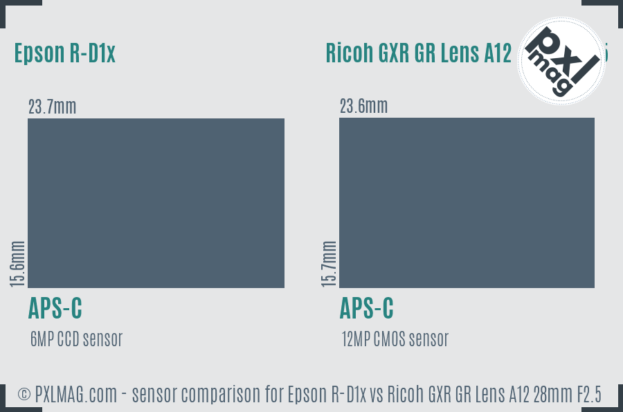 Epson R-D1x vs Ricoh GXR GR Lens A12 28mm F2.5 sensor size comparison