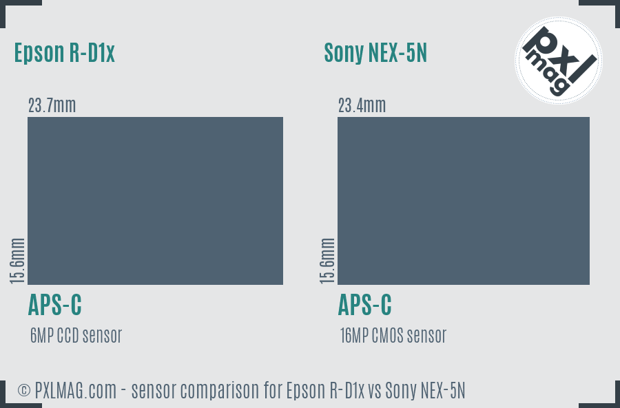 Epson R-D1x vs Sony NEX-5N sensor size comparison Epson R-D1x vs Sony NEX-5N sensor size comparison