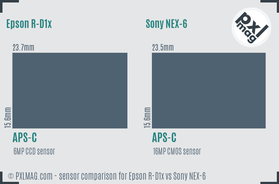 Epson R-D1x vs Sony NEX-6 sensor size comparison