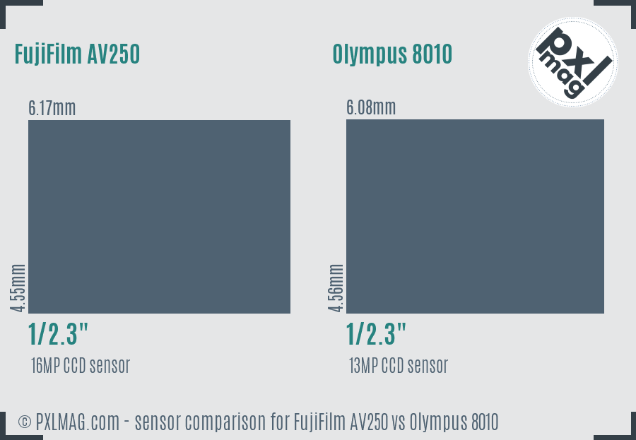 FujiFilm AV250 vs Olympus 8010 sensor size comparison