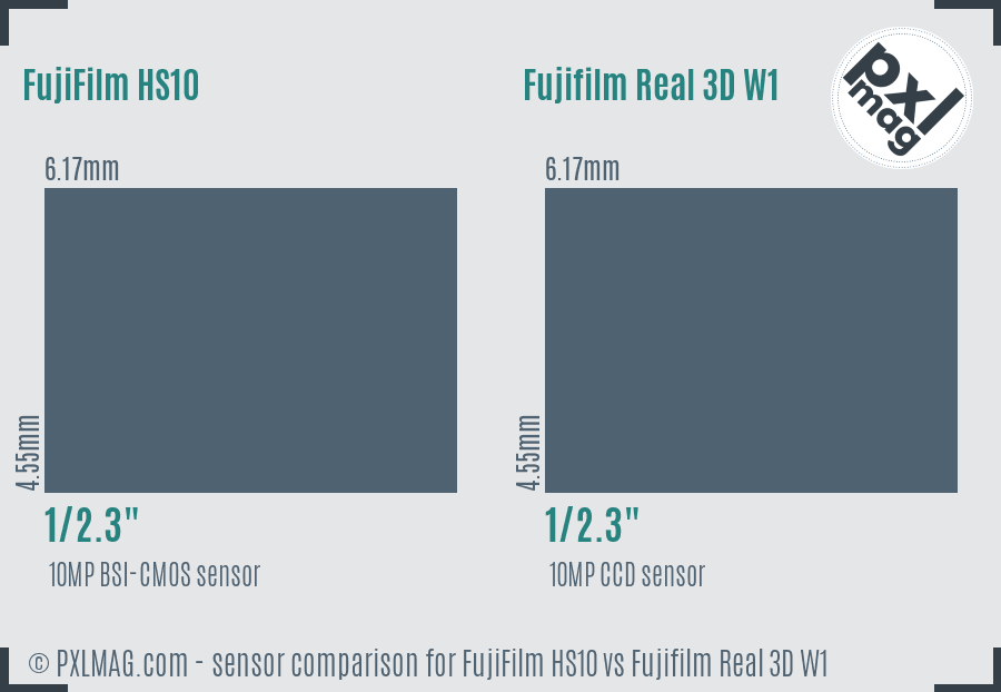 FujiFilm HS10 vs Fujifilm Real 3D W1 sensor size comparison