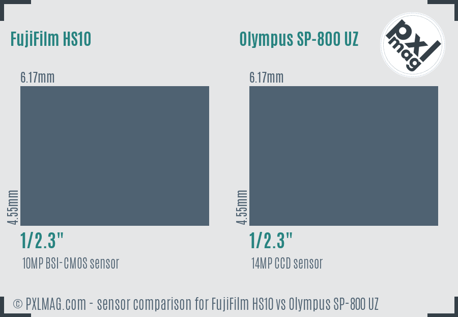 FujiFilm HS10 vs Olympus SP-800 UZ sensor size comparison
