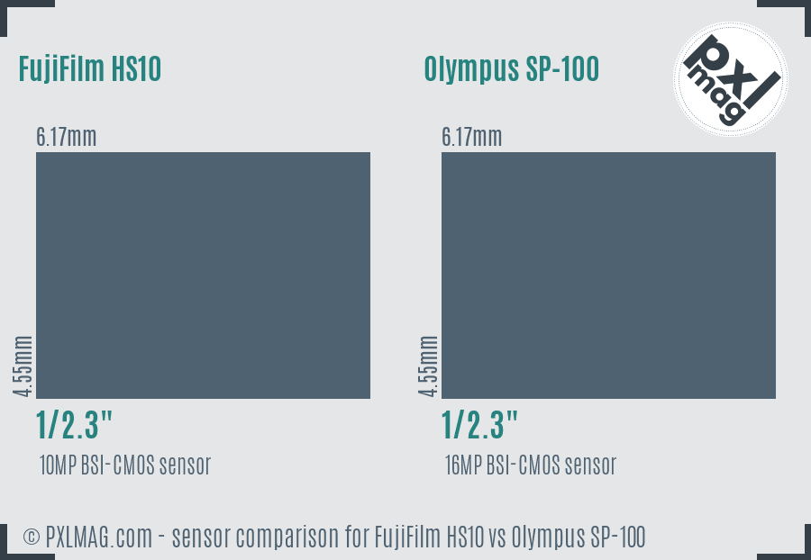 FujiFilm HS10 vs Olympus SP-100 sensor size comparison