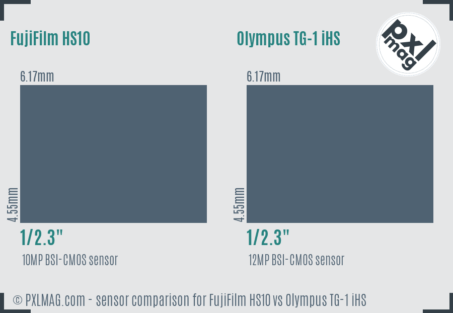 FujiFilm HS10 vs Olympus TG-1 iHS sensor size comparison