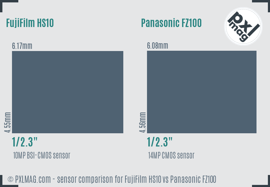 FujiFilm HS10 vs Panasonic FZ100 sensor size comparison