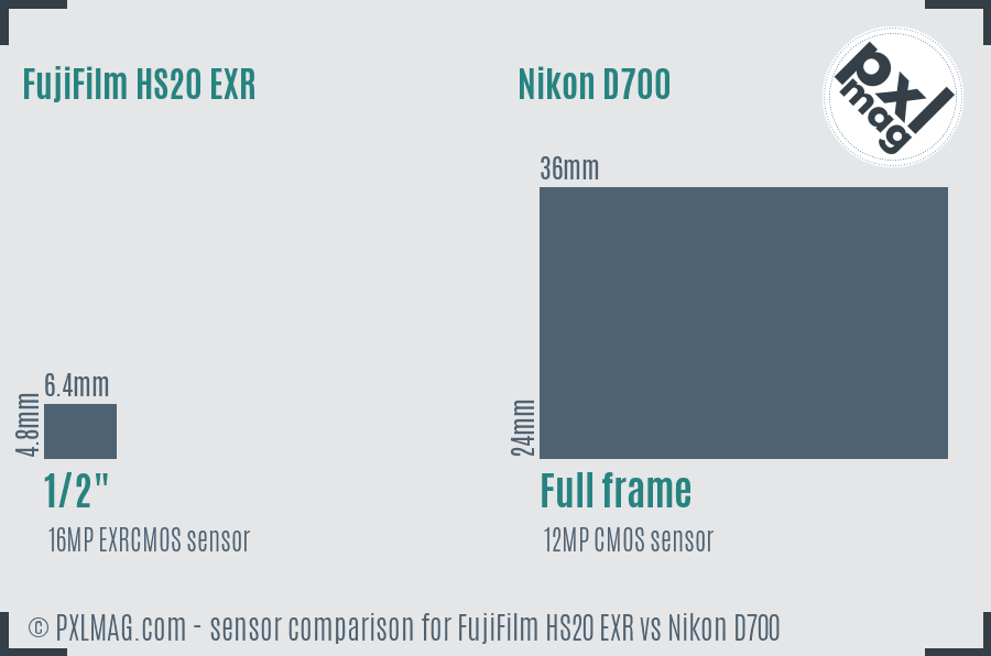 FujiFilm HS20 EXR vs Nikon D700 sensor size comparison FujiFilm HS20 EXR vs Nikon D700 sensor size comparison