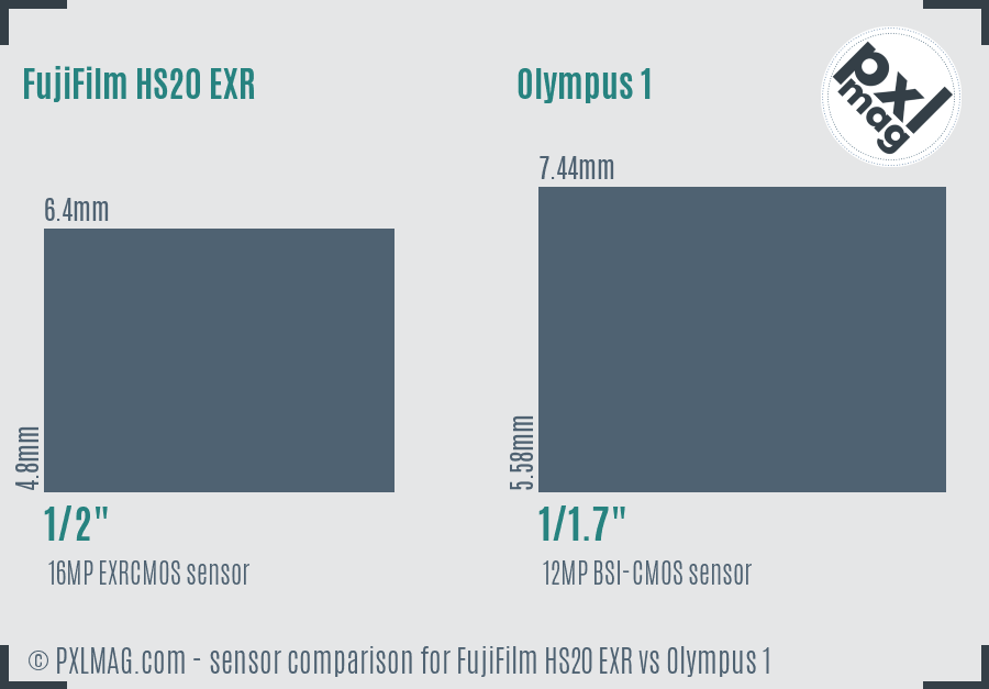FujiFilm HS20 EXR vs Olympus 1 sensor size comparison