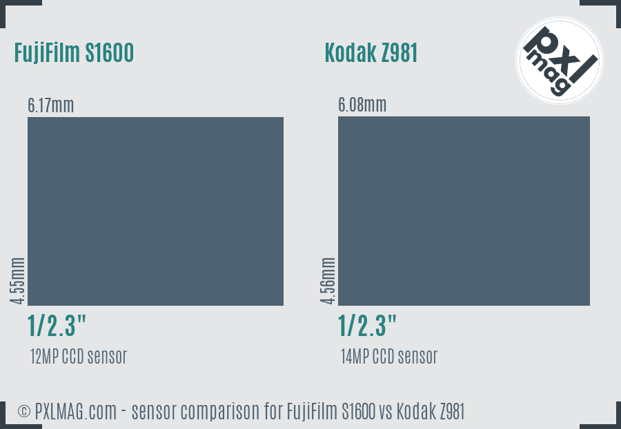 FujiFilm S1600 vs Kodak Z981 sensor size comparison