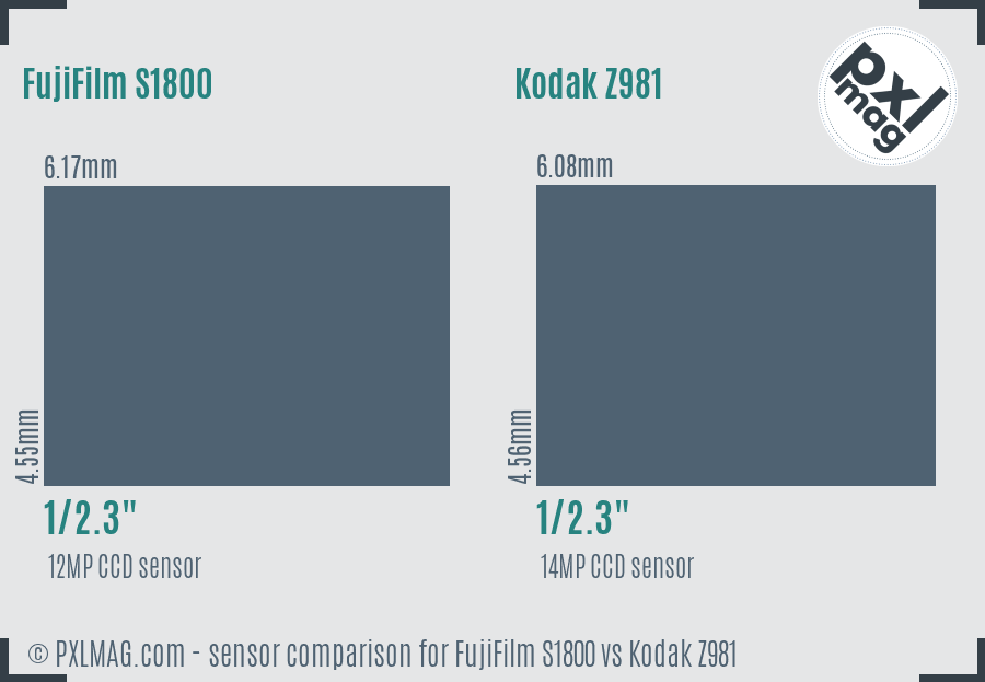 FujiFilm S1800 vs Kodak Z981 sensor size comparison FujiFilm S1800 vs Kodak Z981 sensor size comparison