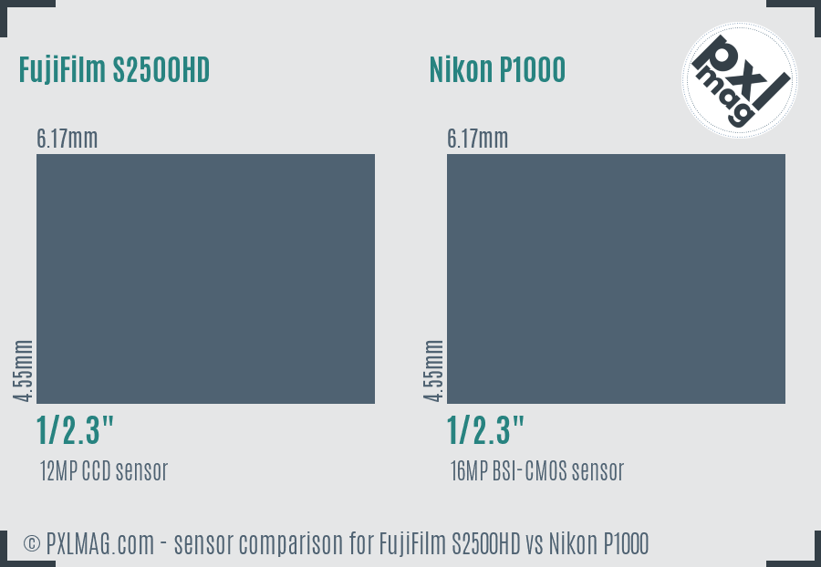 FujiFilm S2500HD vs Nikon P1000 sensor size comparison
