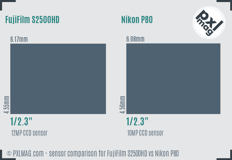 FujiFilm S2500HD vs Nikon P80 sensor size comparison