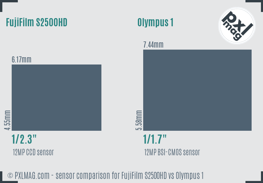 FujiFilm S2500HD vs Olympus 1 sensor size comparison