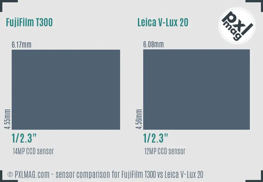FujiFilm T300 vs Leica V-Lux 20 sensor size comparison