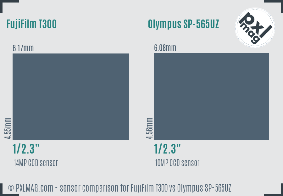 FujiFilm T300 vs Olympus SP-565UZ sensor size comparison