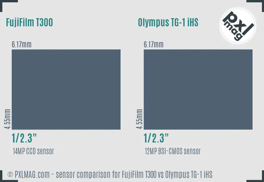 FujiFilm T300 vs Olympus TG-1 iHS sensor size comparison