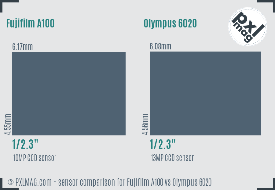 Fujifilm A100 vs Olympus 6020 sensor size comparison