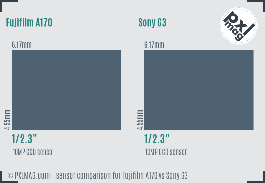 Fujifilm A170 vs Sony G3 sensor size comparison