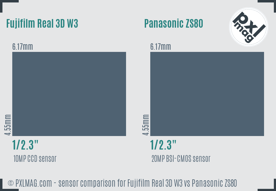 Fujifilm Real 3D W3 vs Panasonic ZS80 sensor size comparison