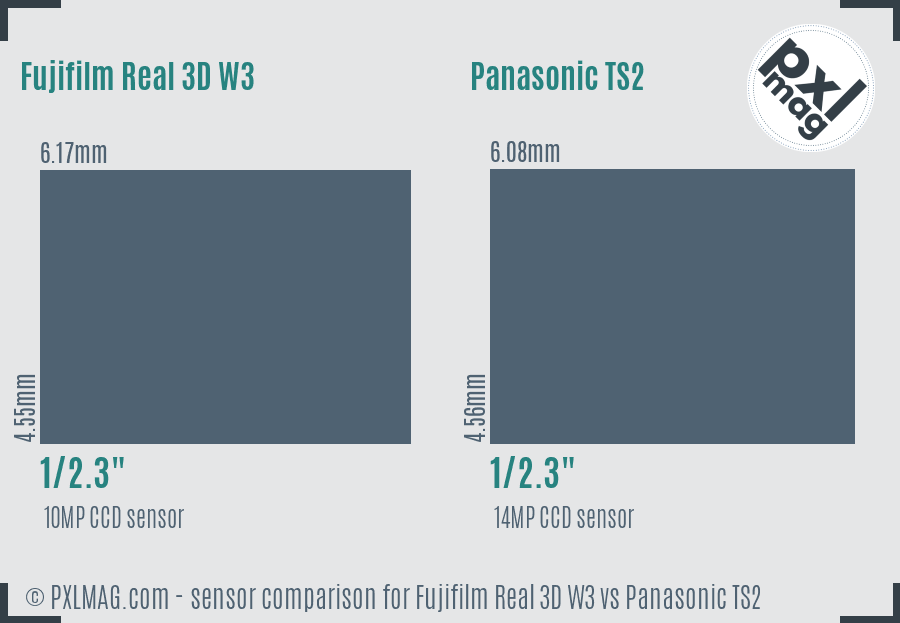 Fujifilm Real 3D W3 vs Panasonic TS2 sensor size comparison